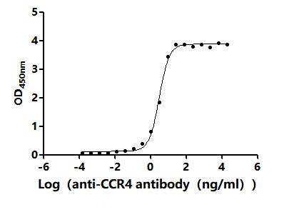 Human CCR4 protein