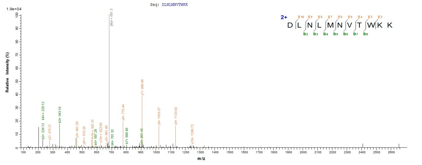 Mouse Emb protein
