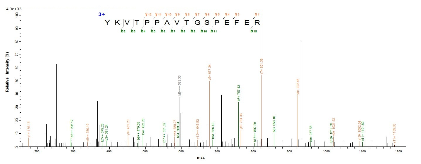 Human MGST2 protein