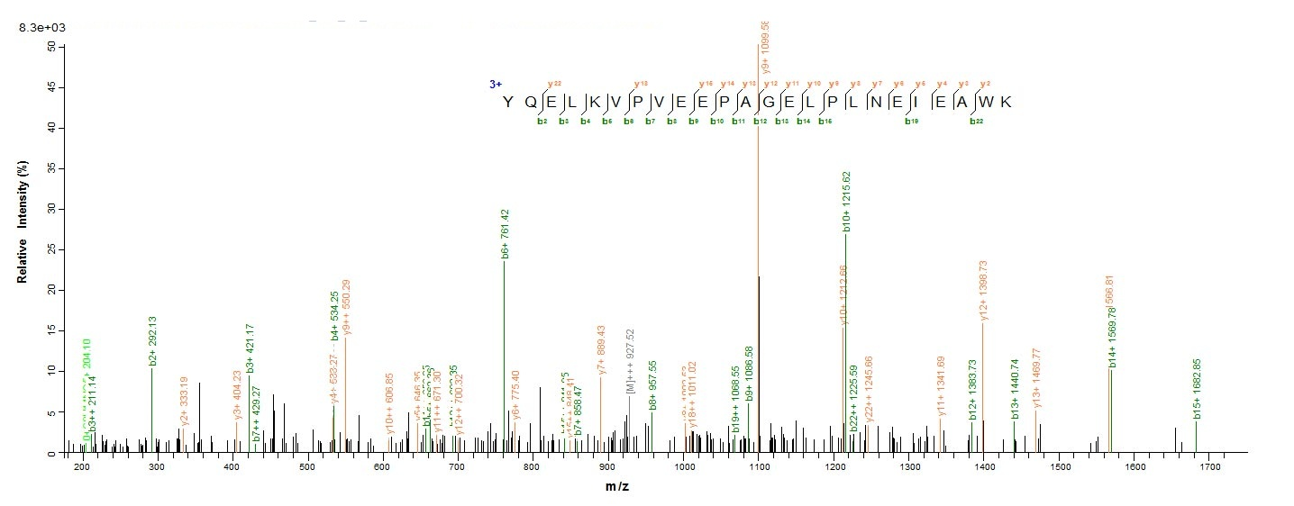 Mouse Pld3 protein