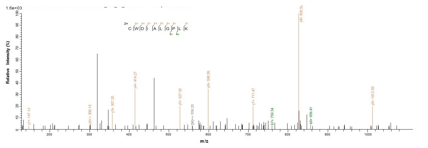 Human EMC4 protein