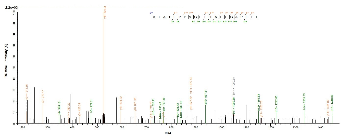 Bacteria btuC protein