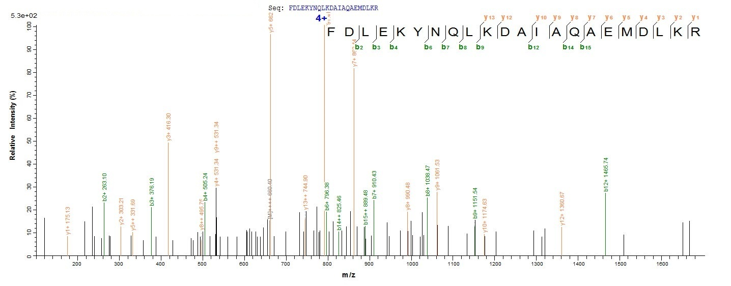 Mouse Mcu protein