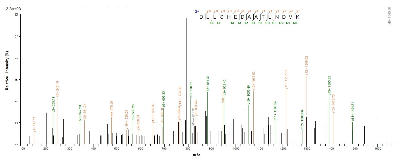 Mouse Mcu protein