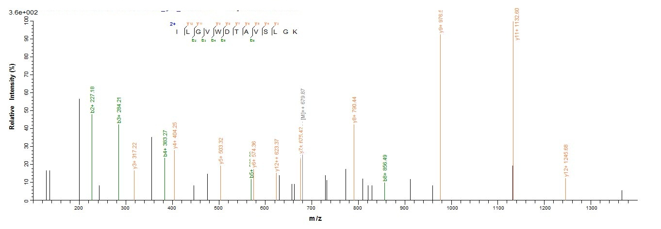 Human ASPRV1 protein