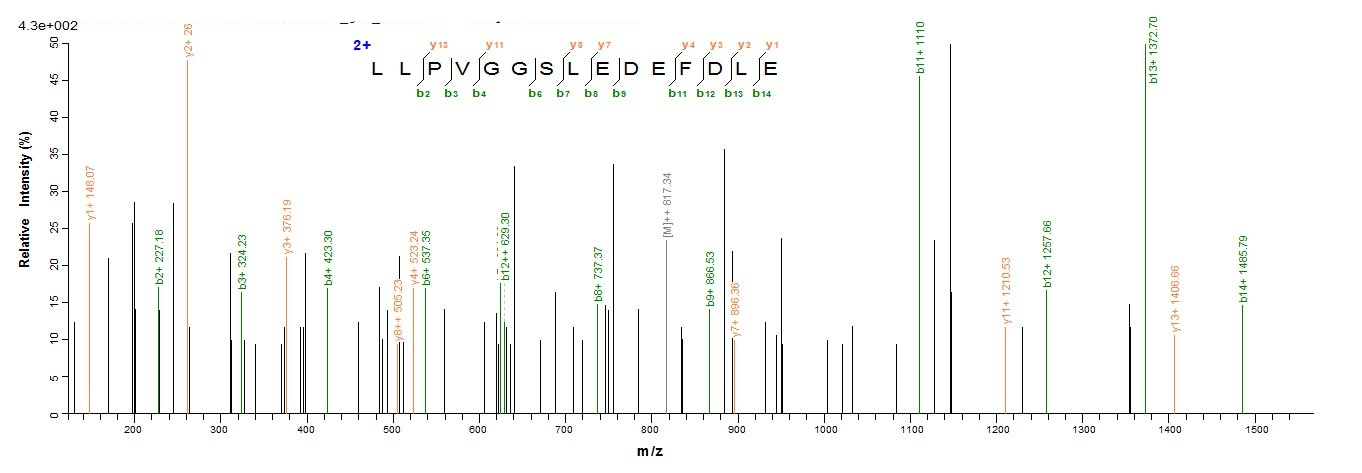 Human ASPRV1 protein