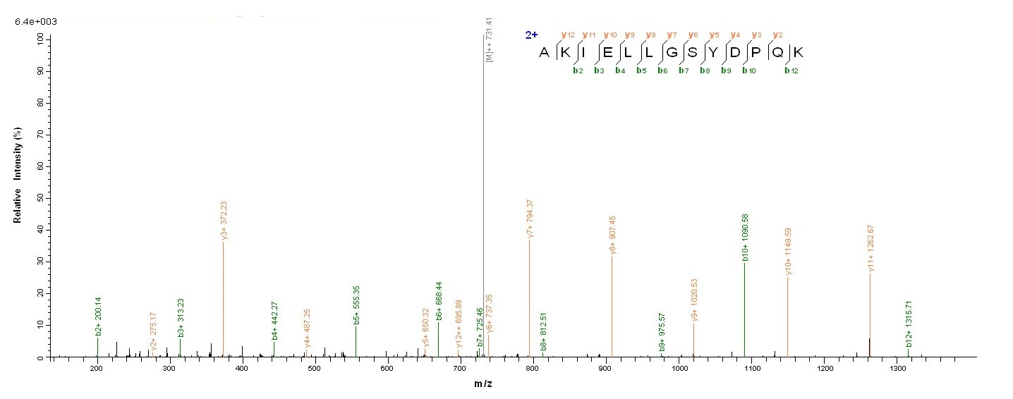 Human ACP1 protein