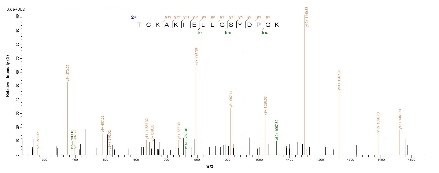 Human ACP1 protein