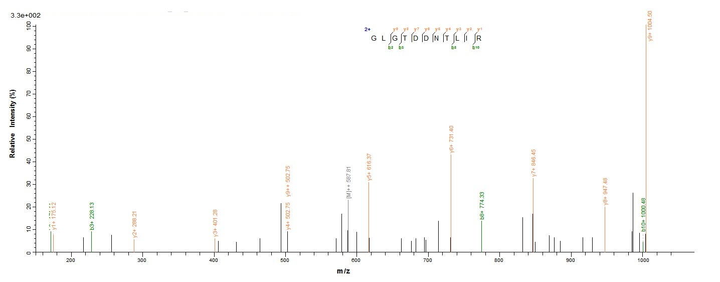 Mouse Anxa4 protein