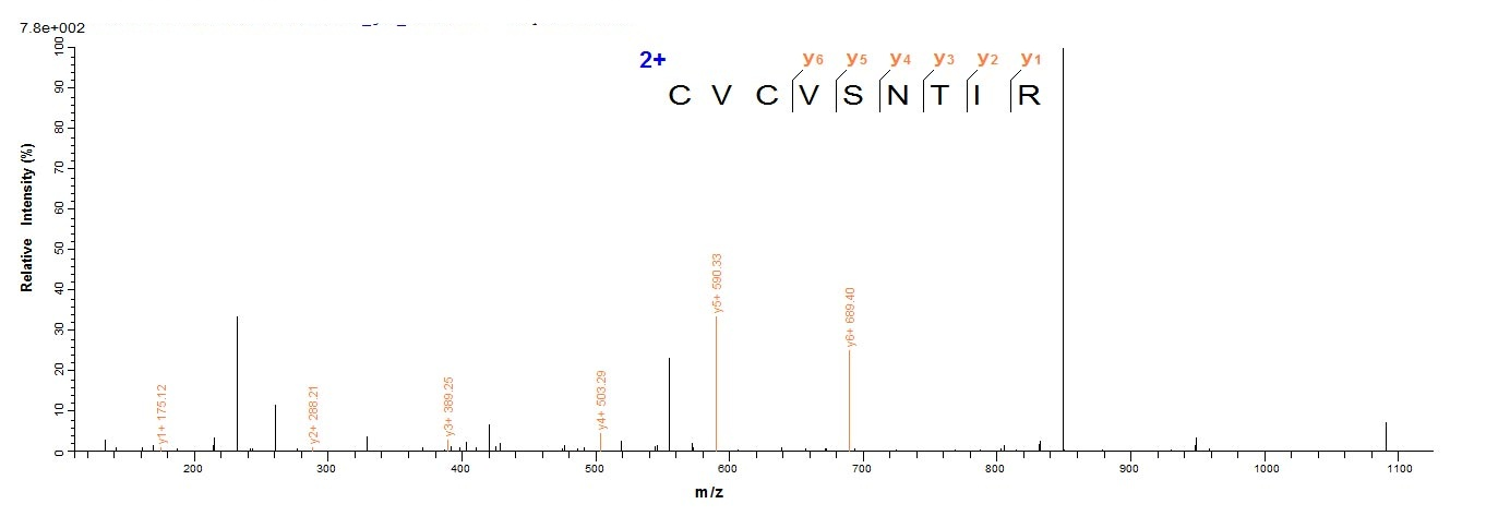 Human ARID1A protein