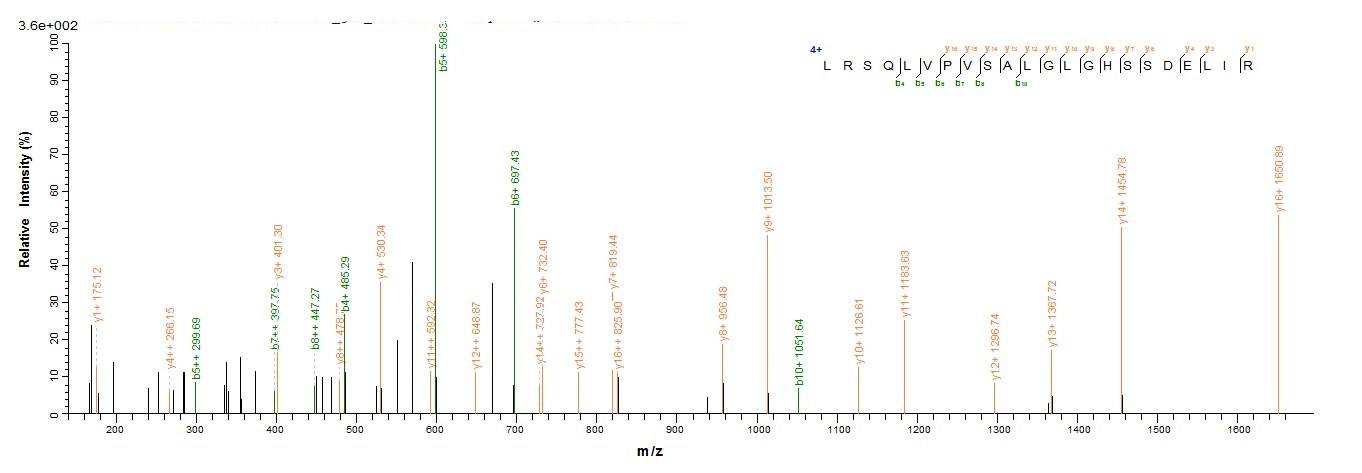 Rat Artn protein