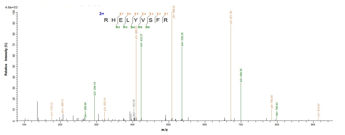 Mouse Bmp8b protein