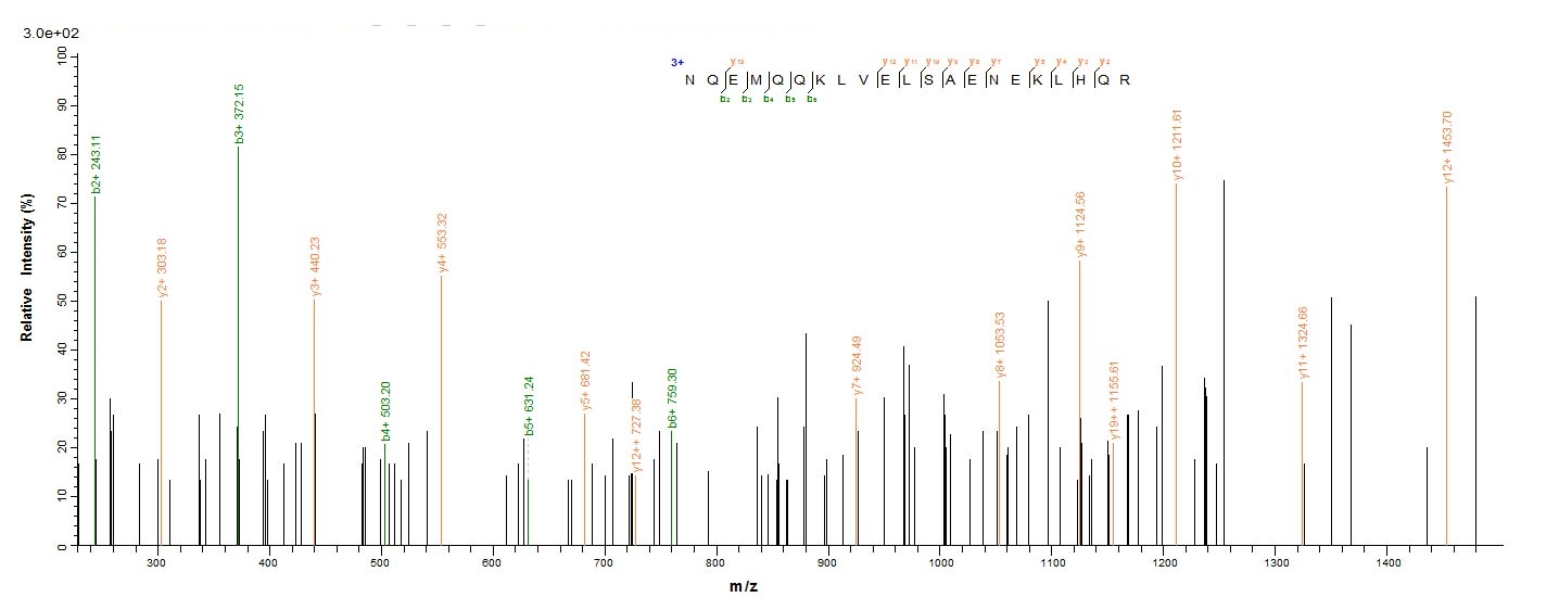 Human CEBPD protein