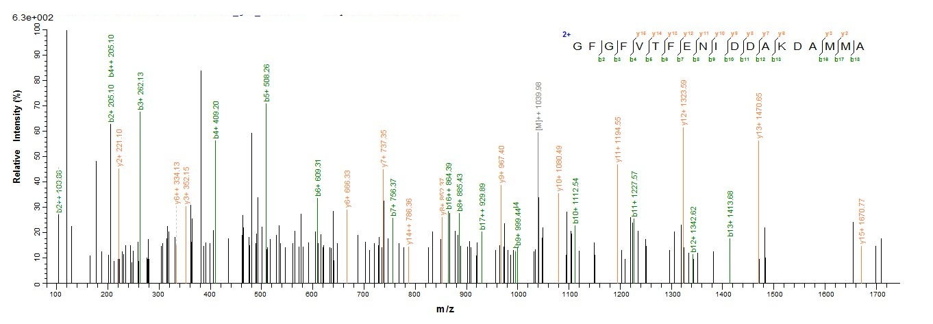 Mouse Cirbp protein