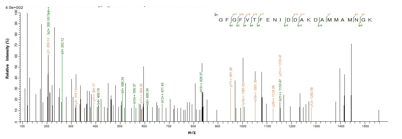 Mouse Cirbp protein