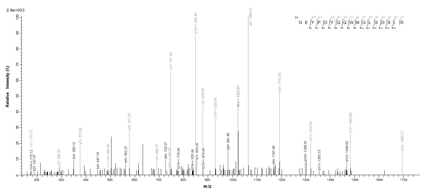Human CRYGB protein