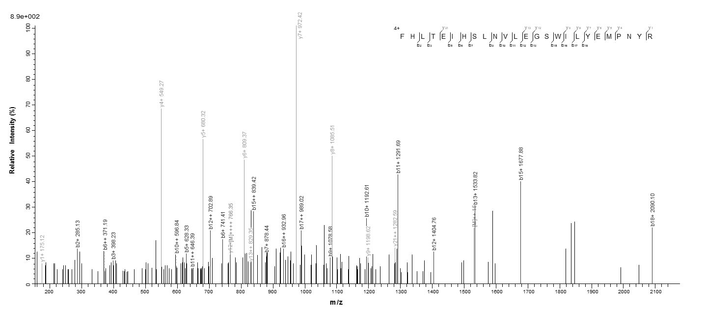 Human CRYGB protein