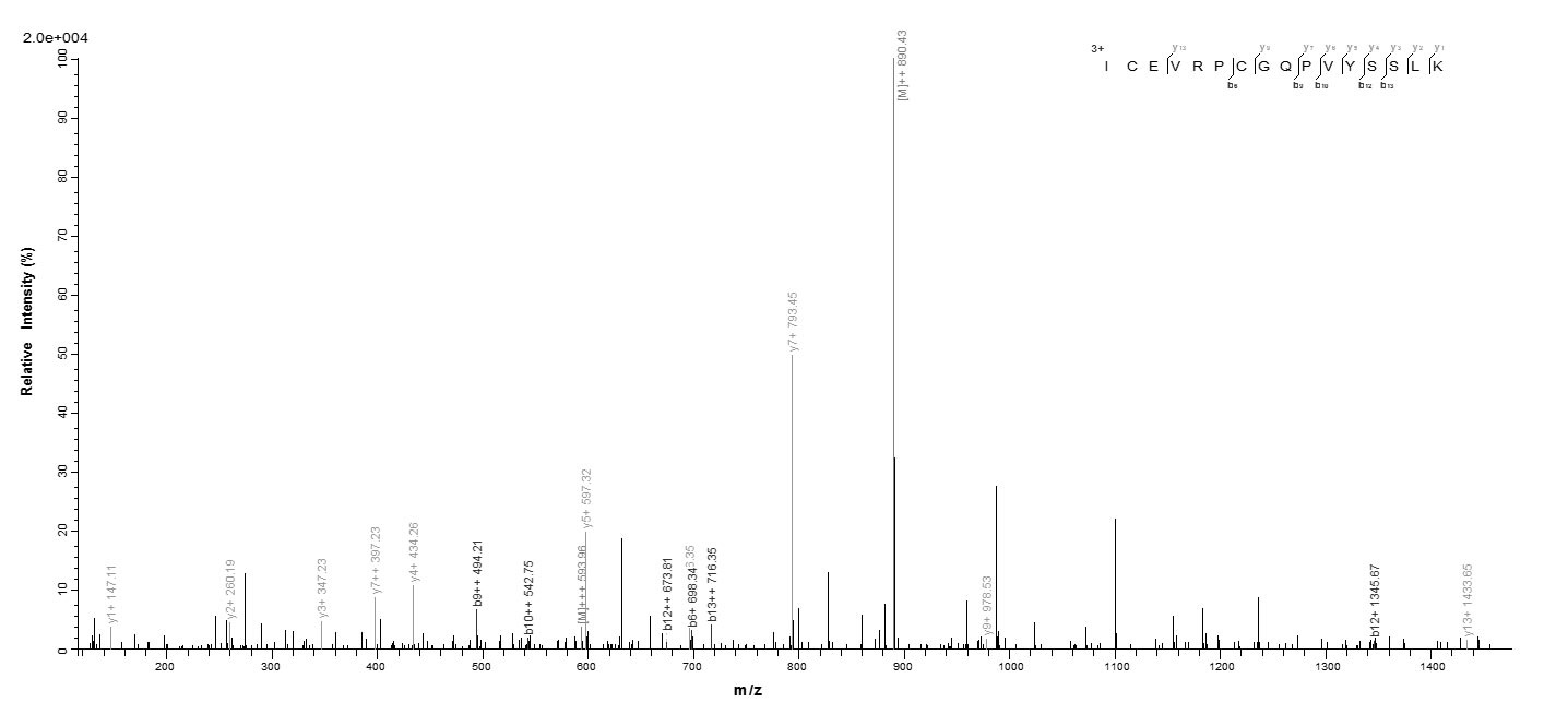 Mouse Cyr61 protein