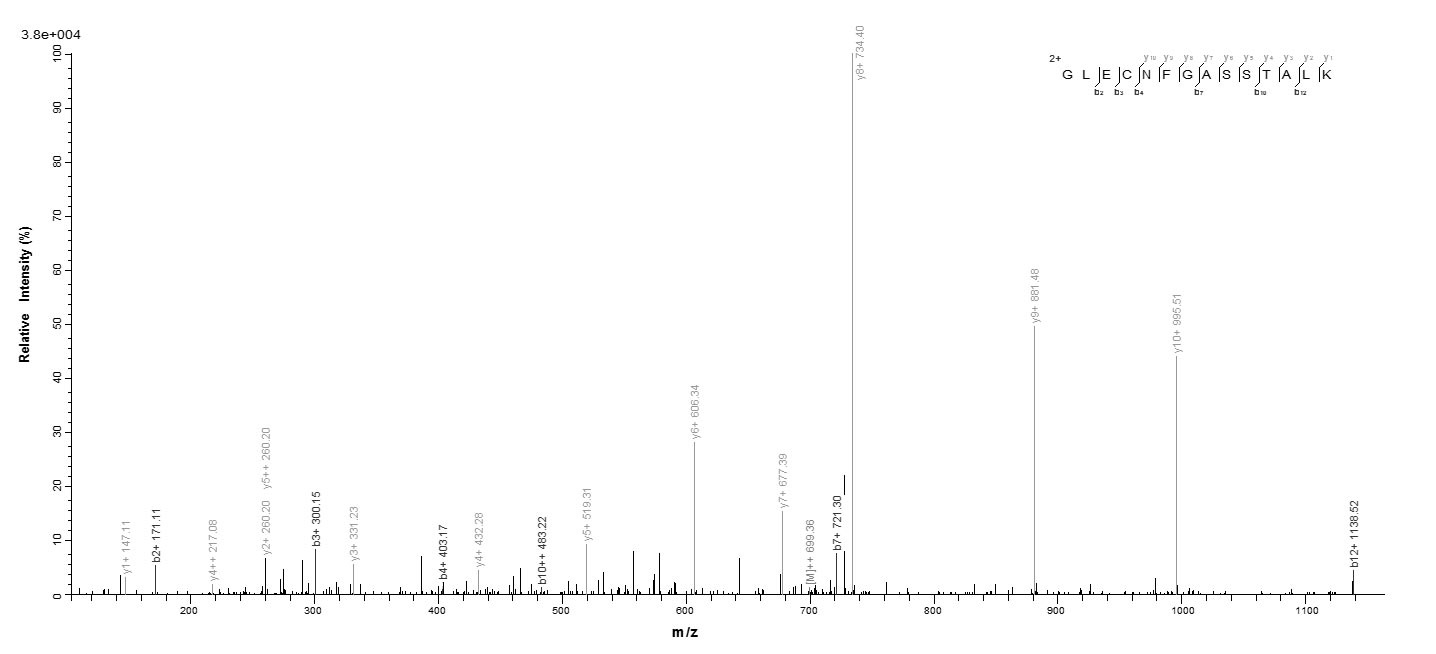 Mouse Cyr61 protein