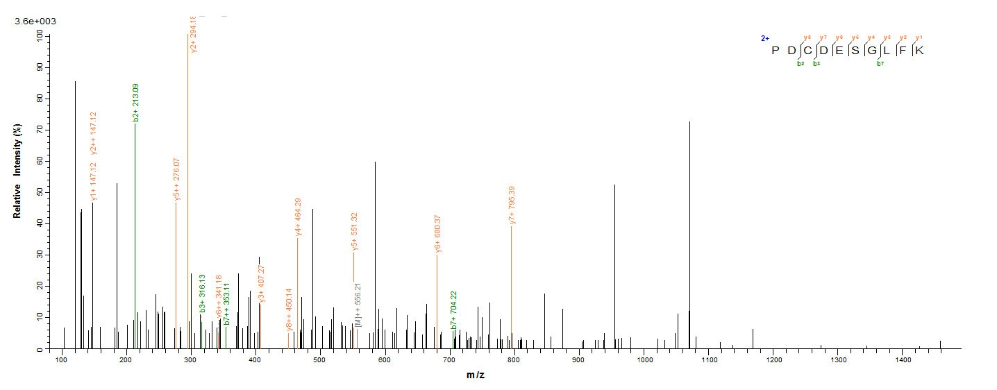 Human EpCAM protein