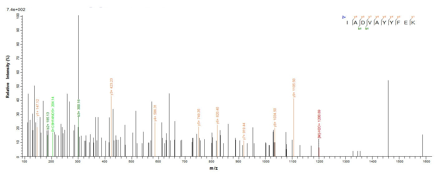 Human EpCAM protein