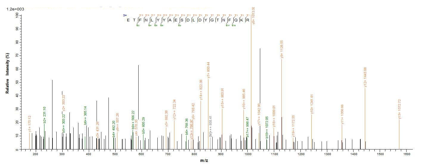 Human EPHA2 protein