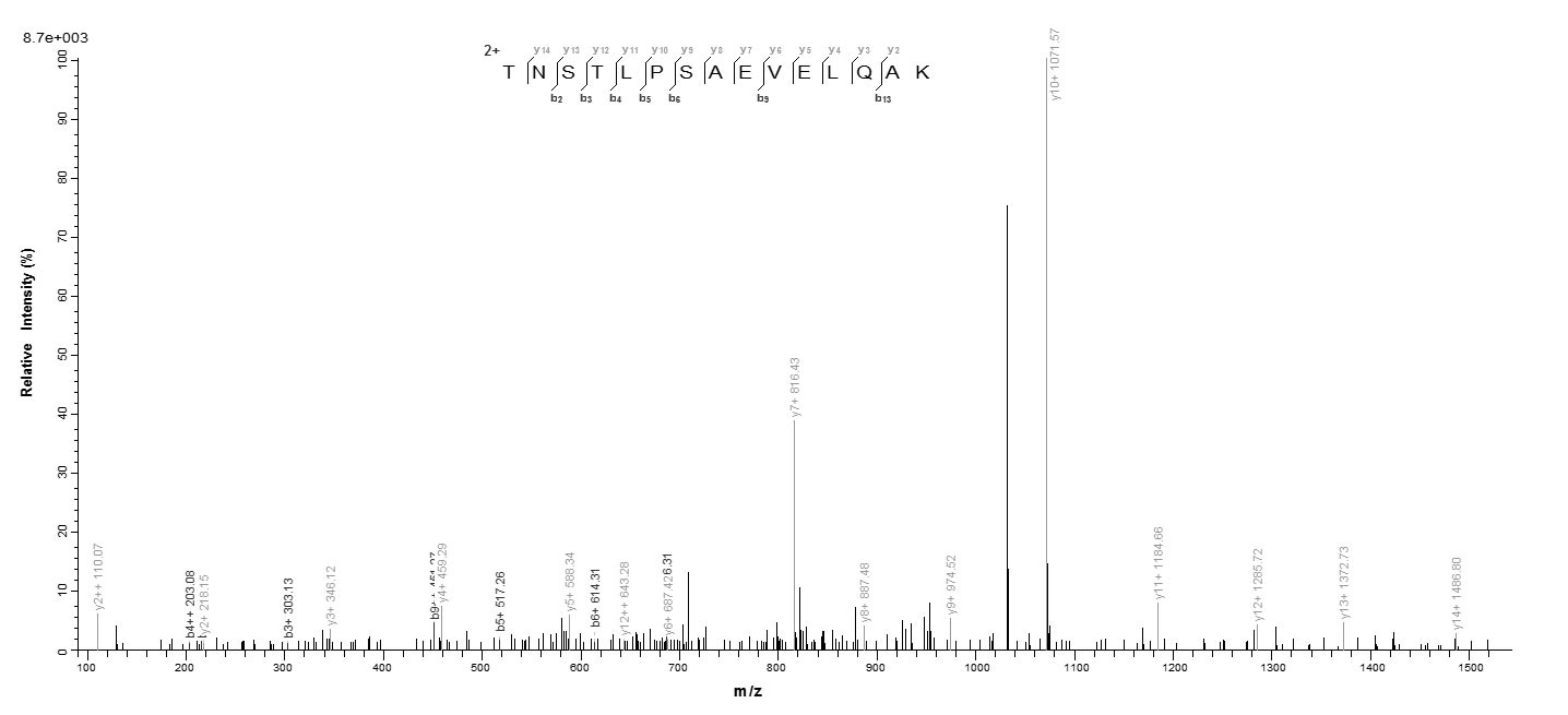 Human FPR1 protein