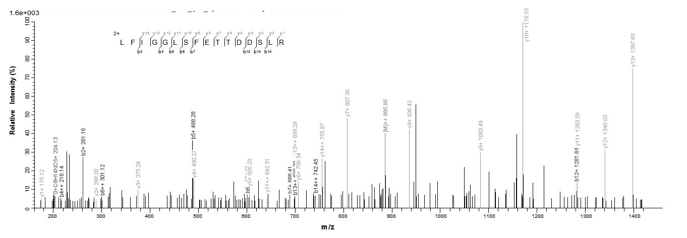 Human HNRNPA3 protein