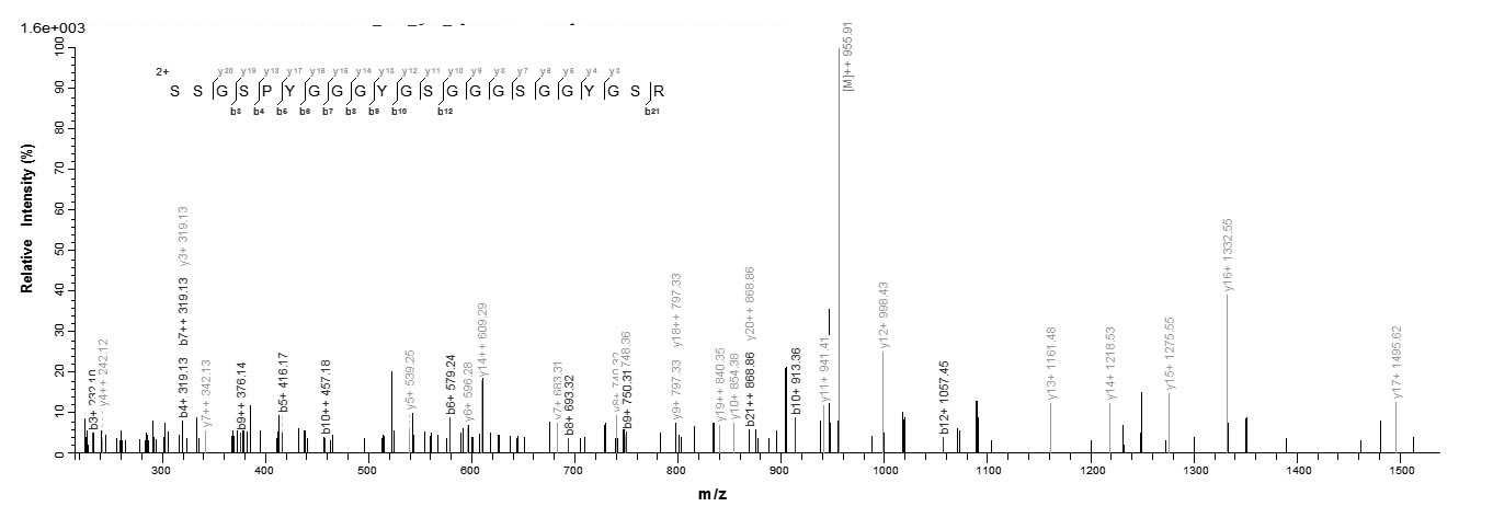 Human HNRNPA3 protein