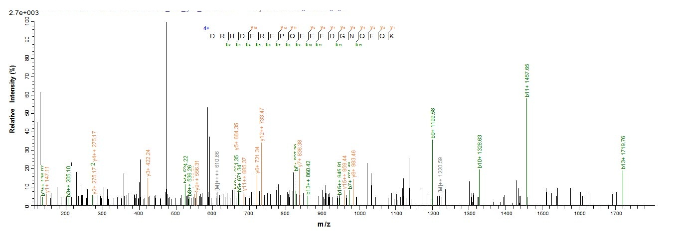 Human IFNA6 protein