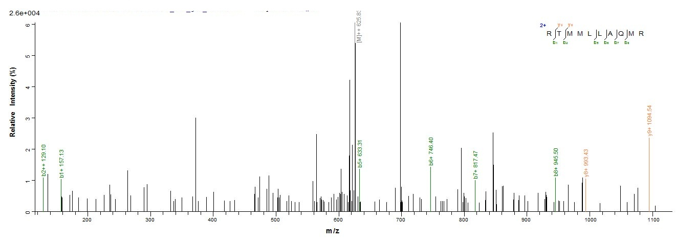 Human IFNA6 protein