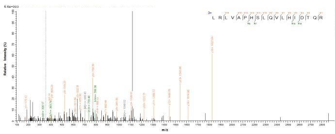 Mouse l2rb protein