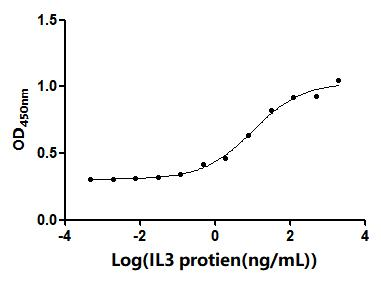 Human IL3 protein