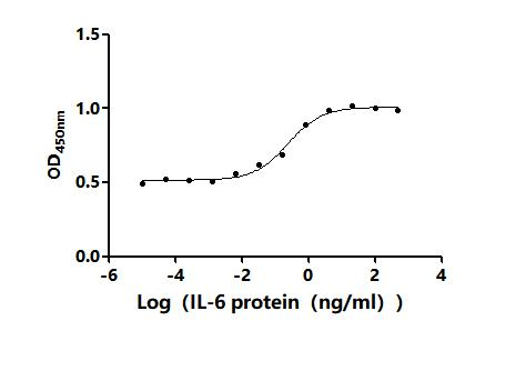 Human IL6 protein