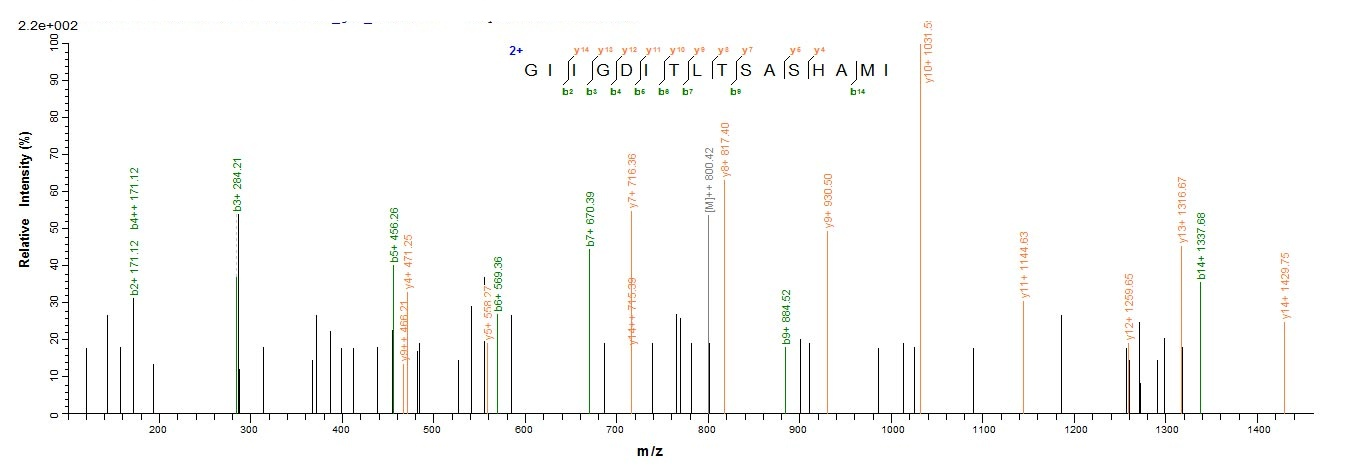 Rat Galectin 3 protein