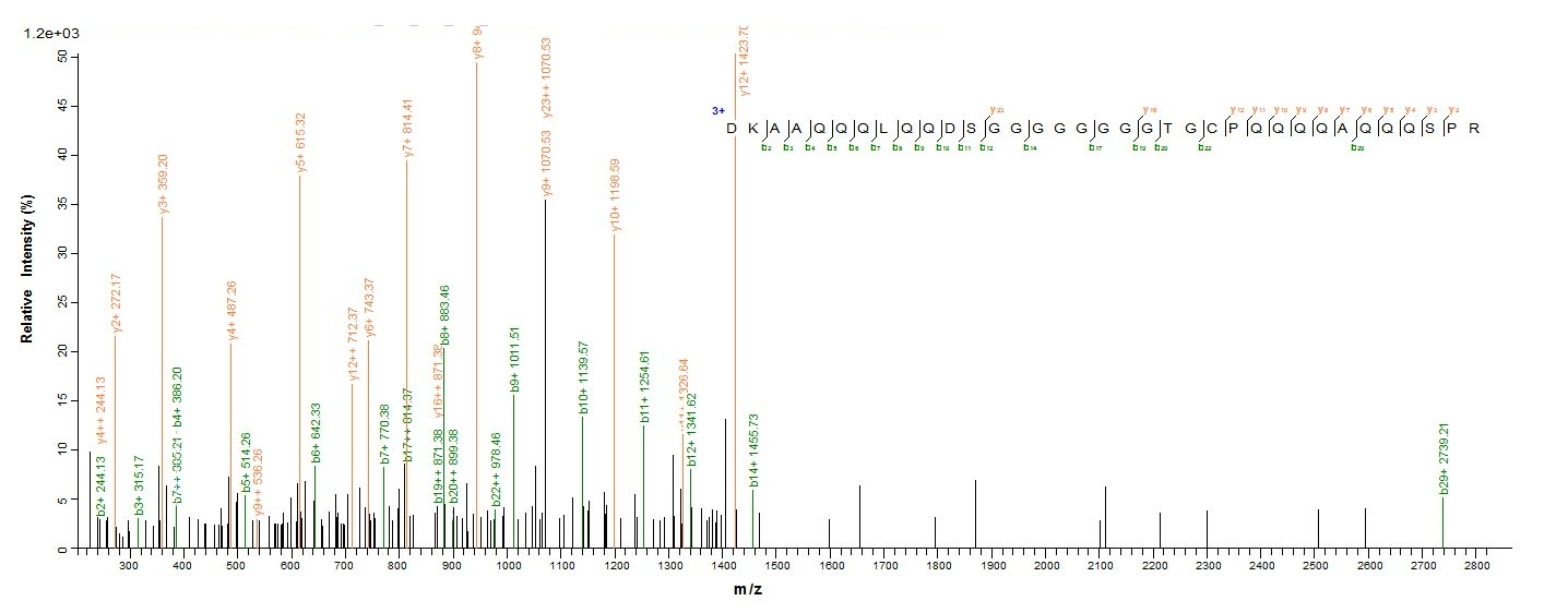 Human NKX2-1 protein