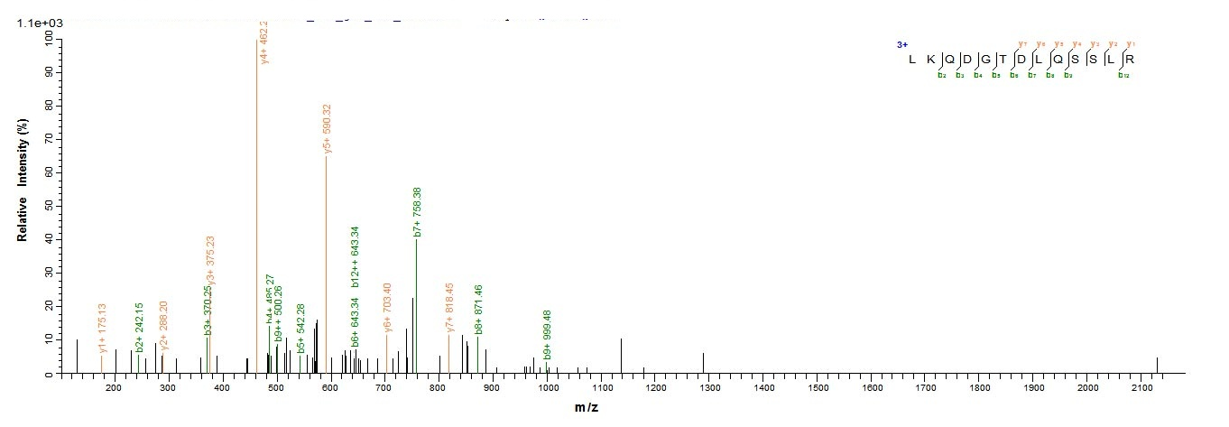 Mouse Pcnt protein