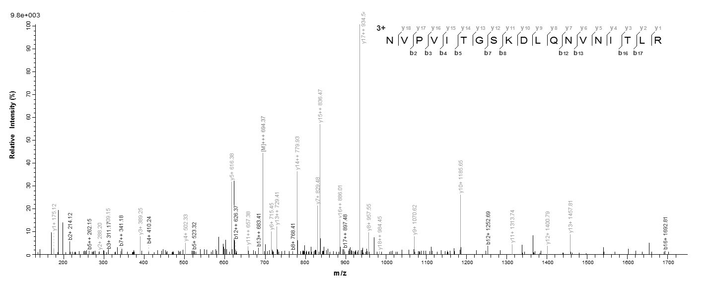 Mouse Phb protein