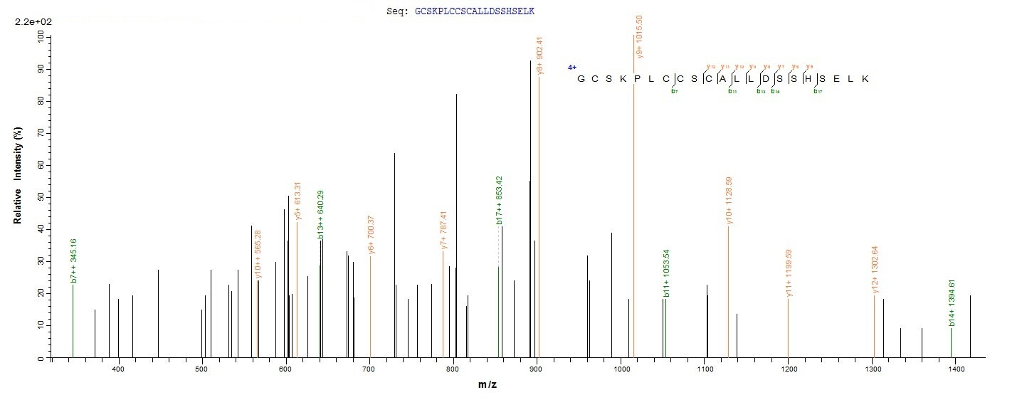 Human PML protein