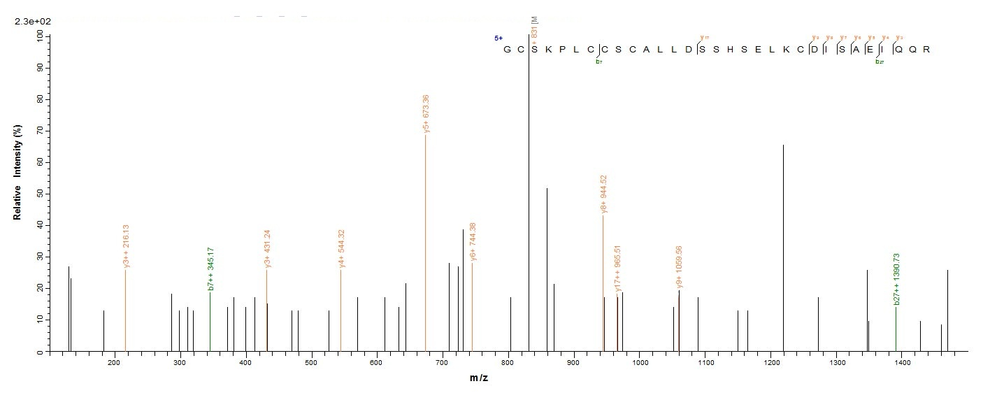 Human PML protein