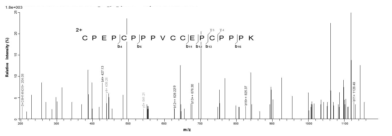 Mouse Sprr2b protein