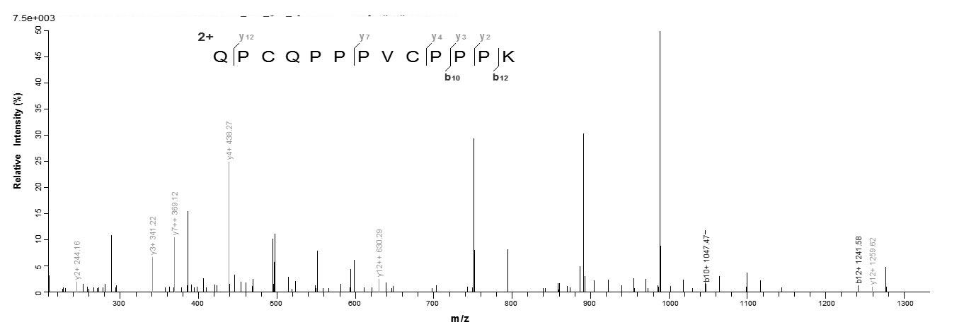 Mouse Sprr2b protein