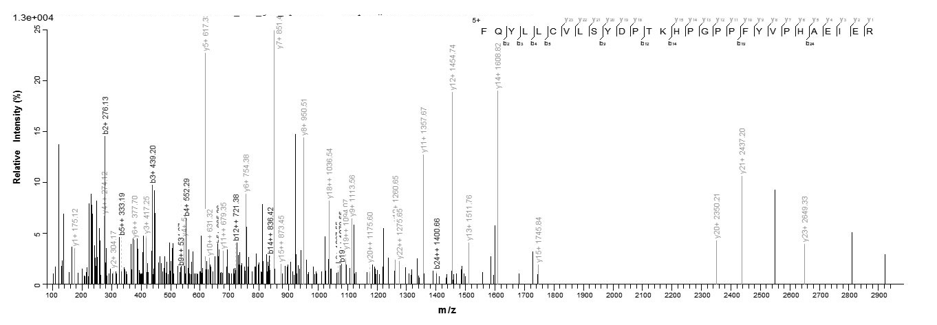 Human TPMT protein