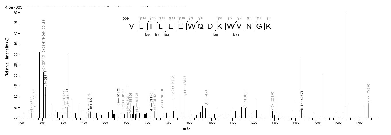 Human TPMT protein