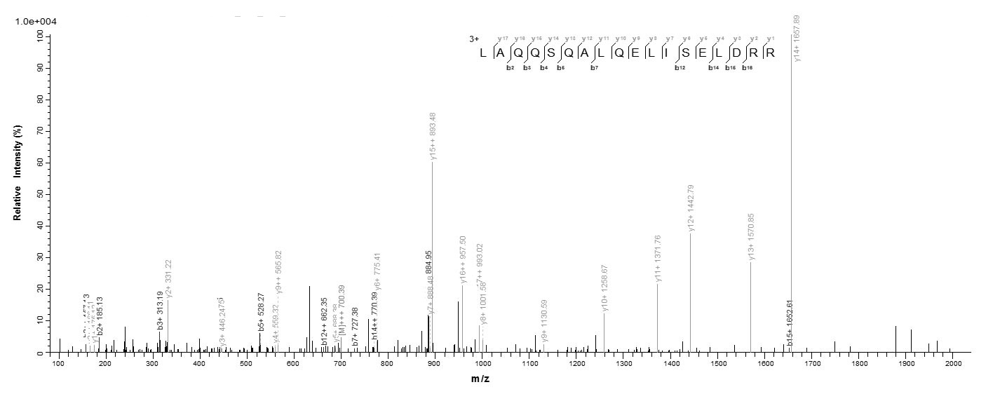 Human TRIM21 protein