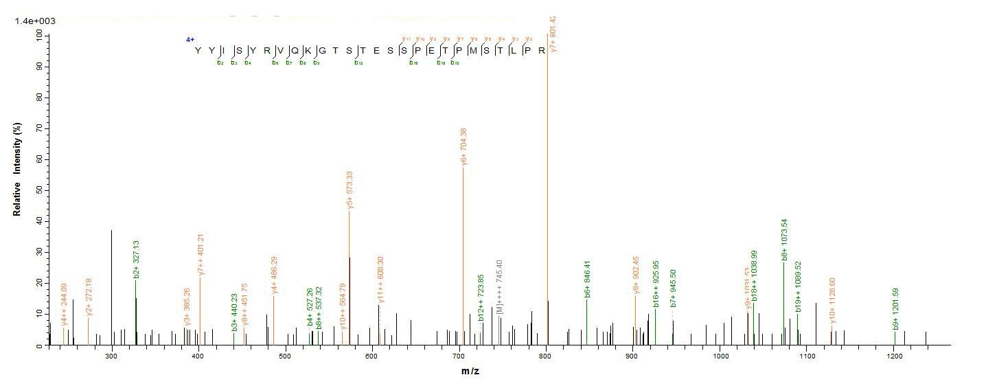 Mouse Upk2 protein