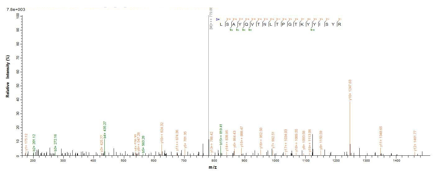 Mouse Upk2 protein