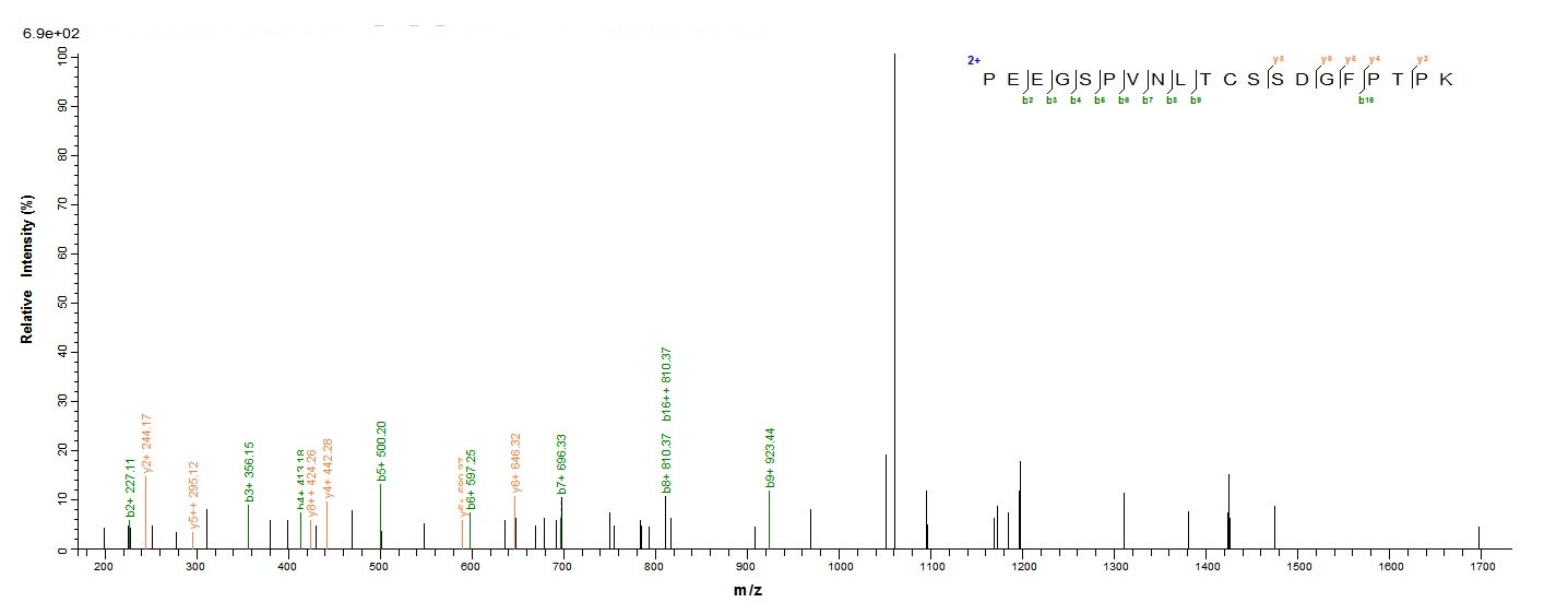 Rat CD106 protein