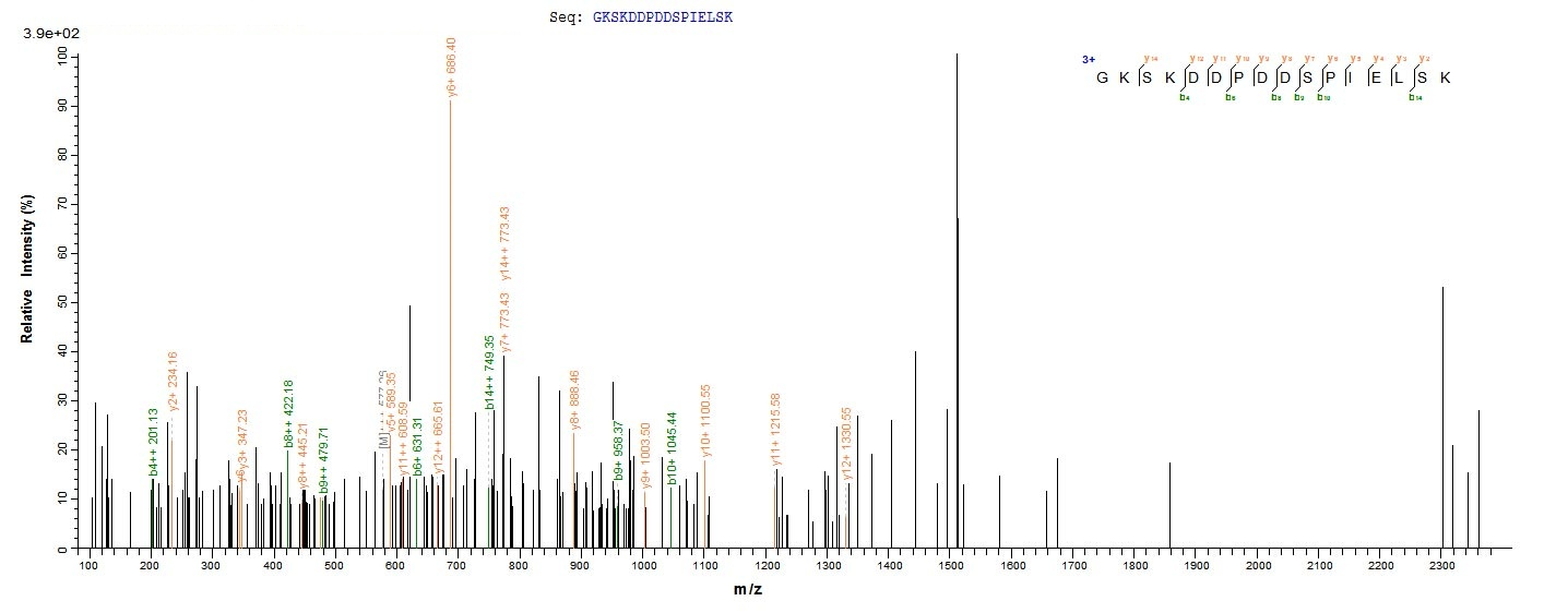 Mouse Veph1 protein
