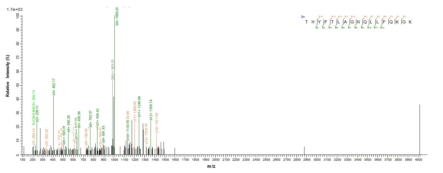 Mouse Veph1 protein